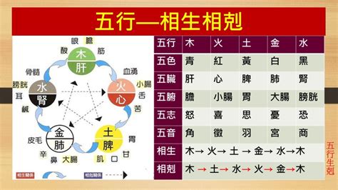 五行 相剋 夫妻|五行相生相剋3大重點｜了解五行，改善生活大小